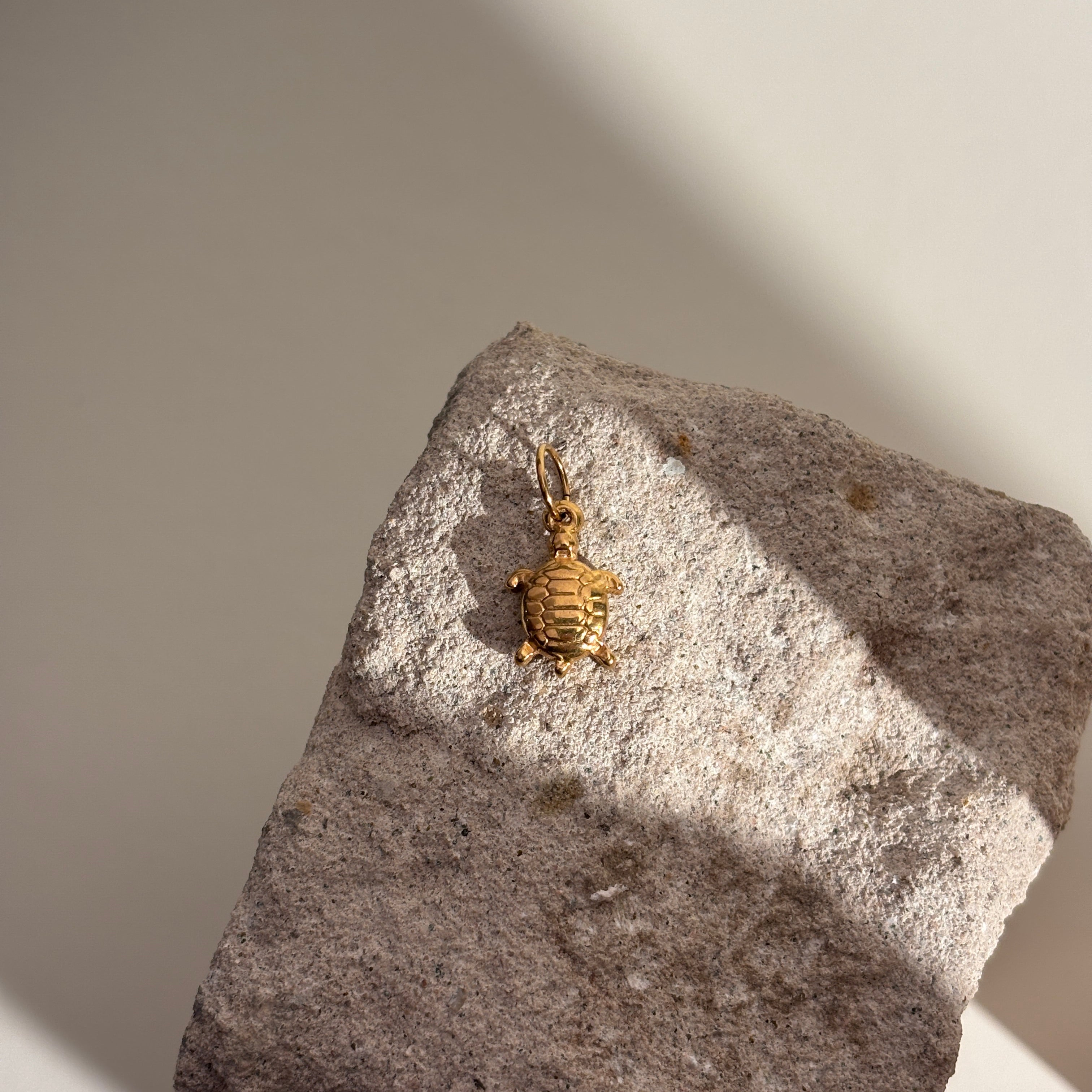 Anhänger Schildkröte