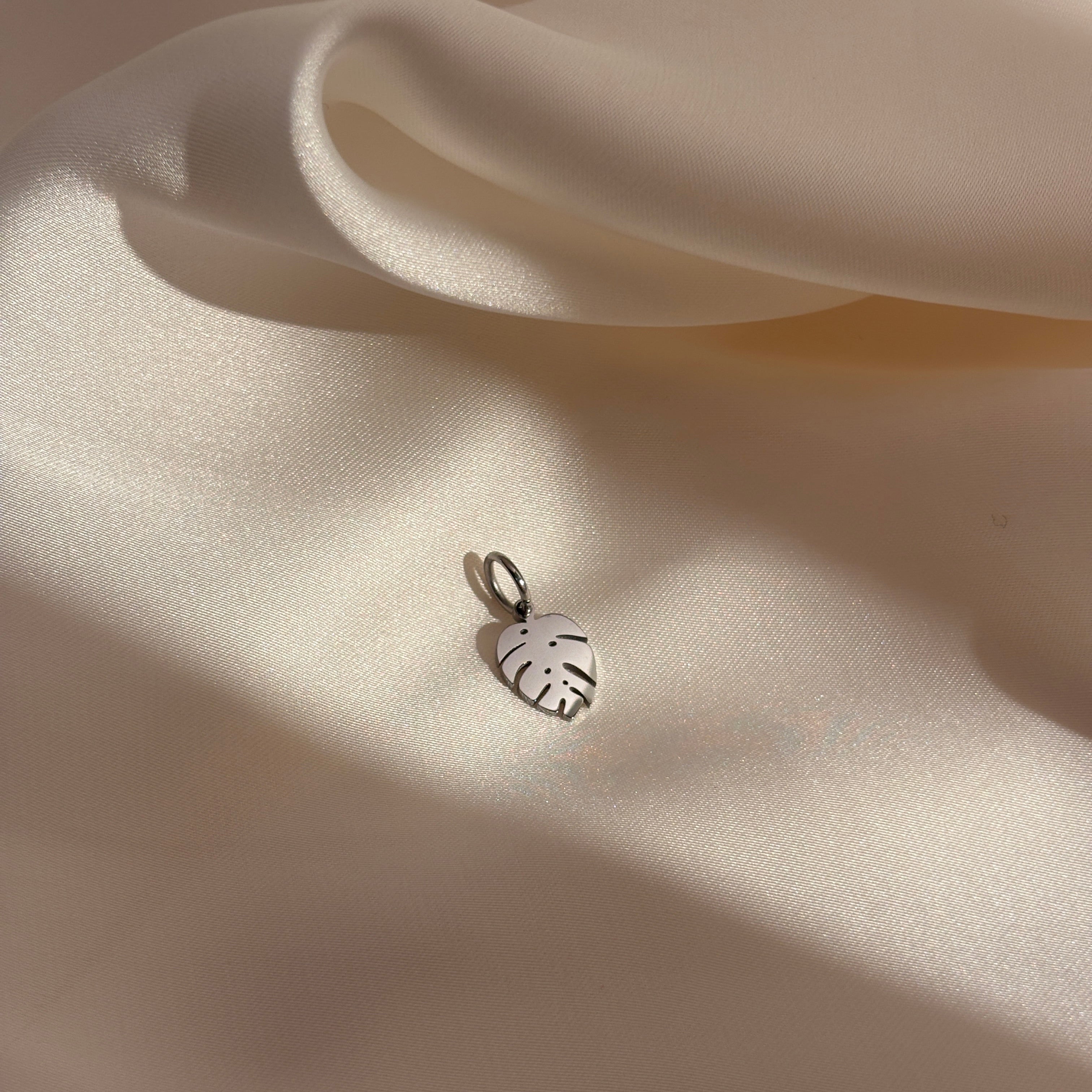 Monstera#Farbe_Silber