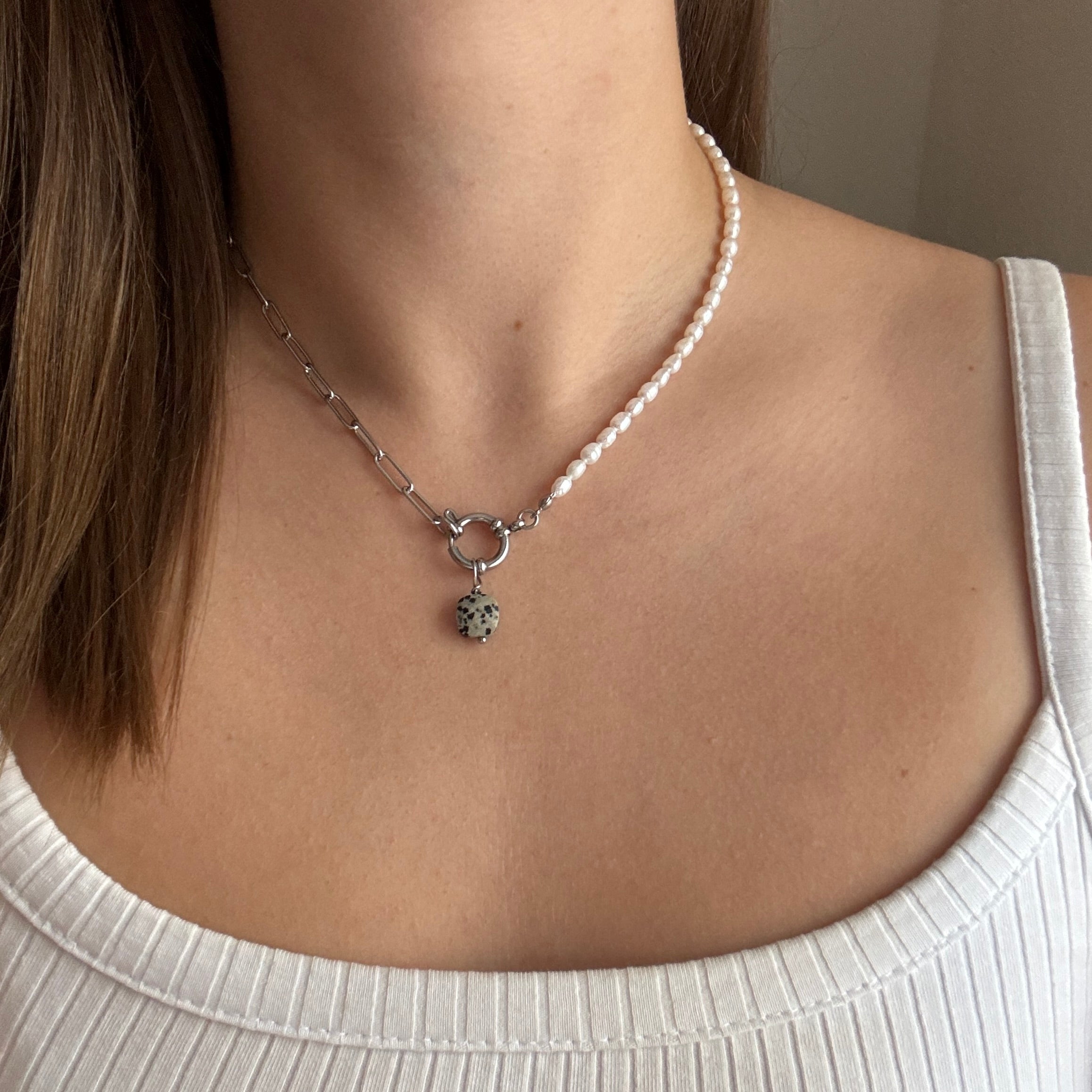 Dalmatiner#Farbe_Silber