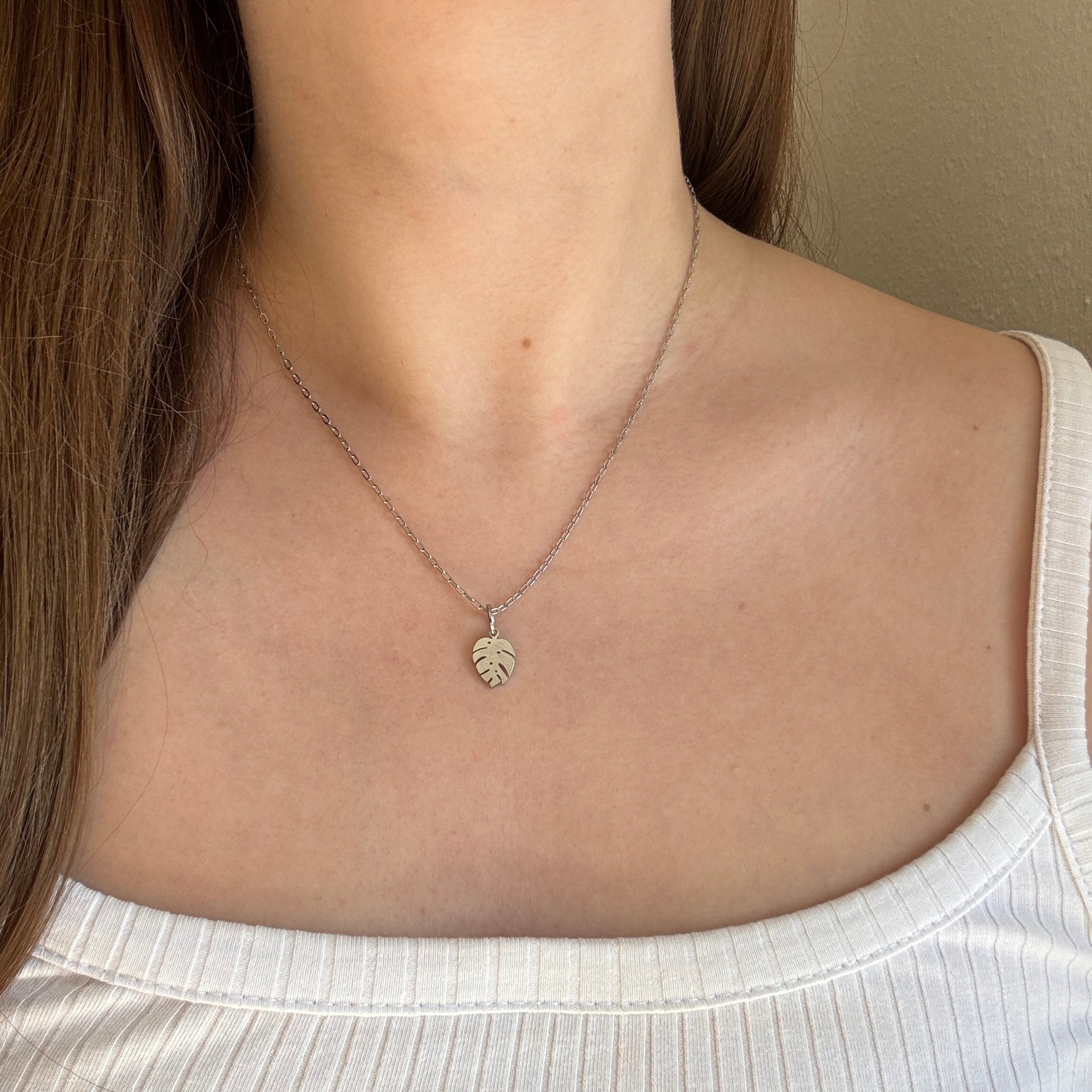 Monstera#Farbe_Silber