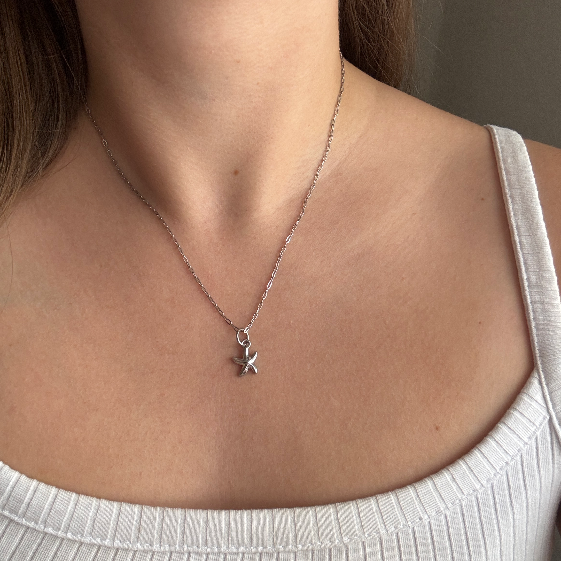 SleekSeestern#Farbe_Silber