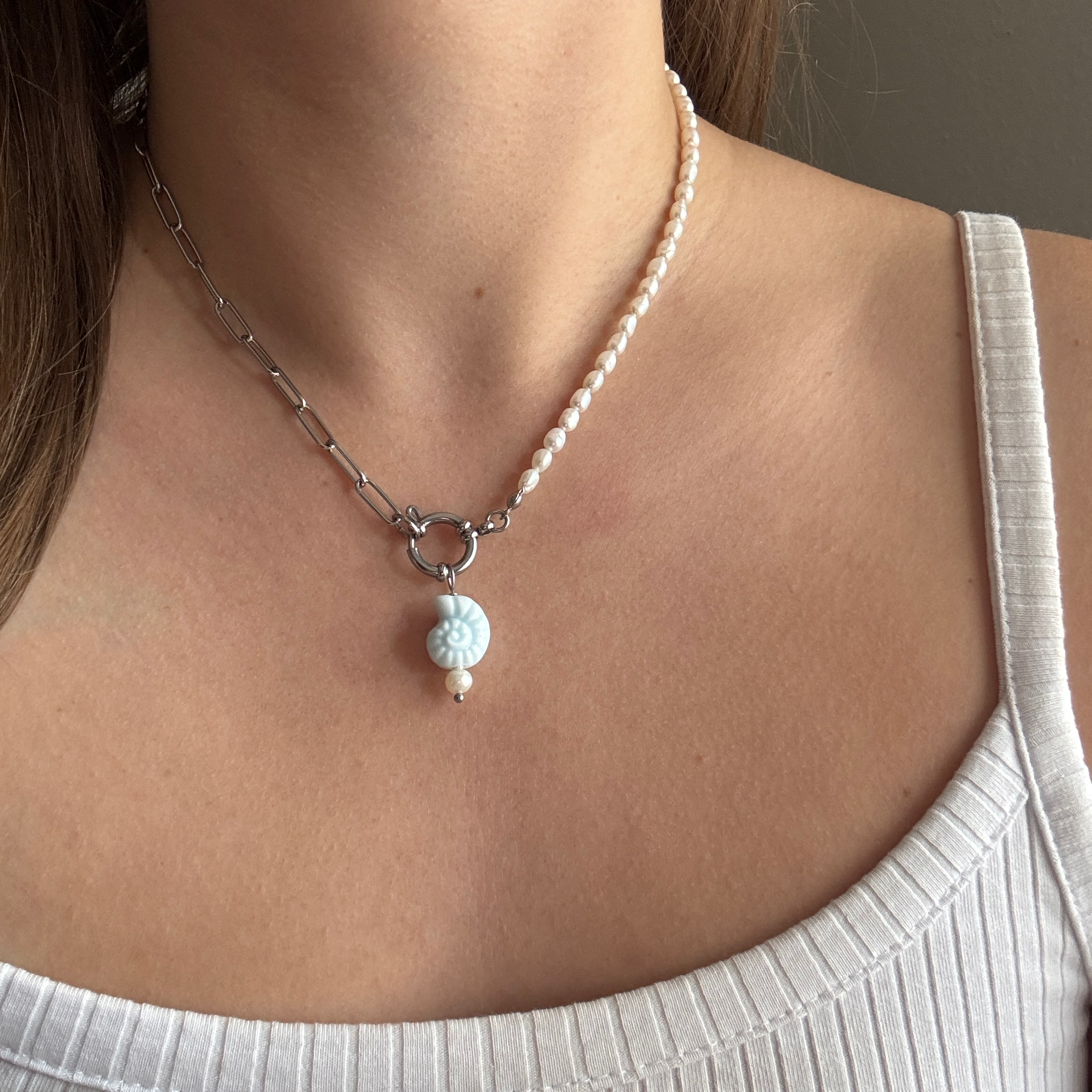 Ammonit#Farbe_Silber